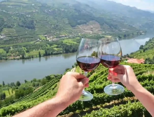 douro6